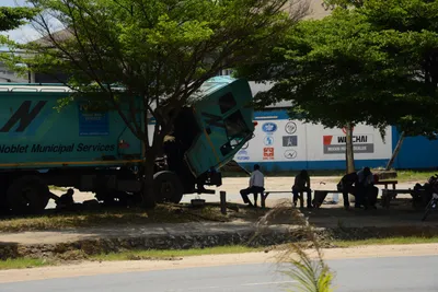 DSC_7682 (Large).JPG